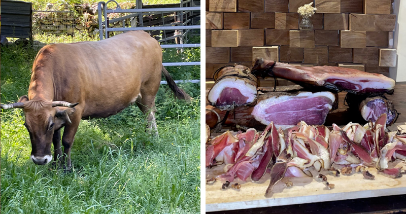 Le Barbylone - Montegrosso - Restaurant en Balagne - Restaurant Montegrosso